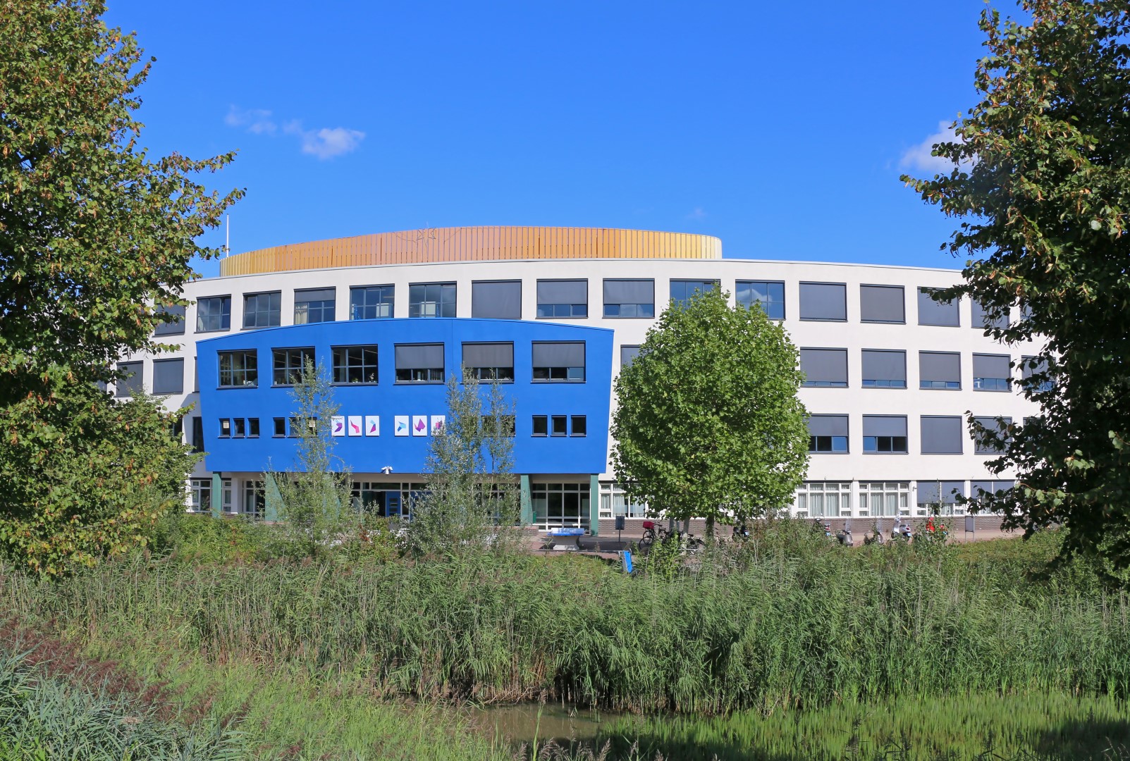 Candea College Saturnus